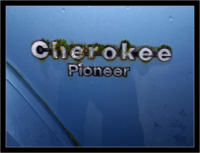 1989 Jeep cherokee pioneer value #5