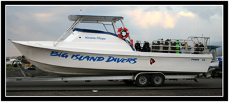 Our Big Island Divers boat.