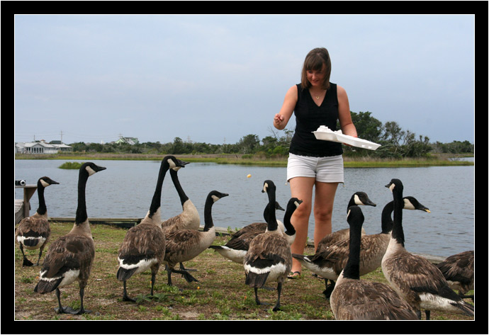 Oksana feeding the geese