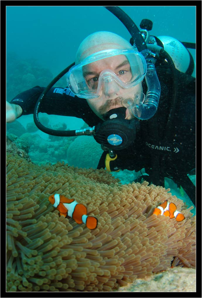 Professional Scubapix shot of me finding Nemo