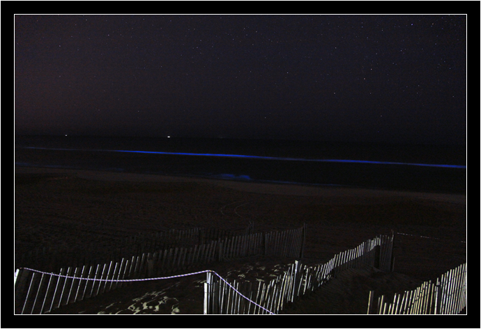 Bioluminescent display at Nags Head