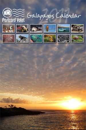 2011 Galapagos Calendar Cover (Premium)