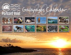 2011 Galapagos Calendar Cover (Standard)